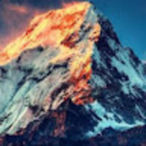 Meet your Posher, Caitlin